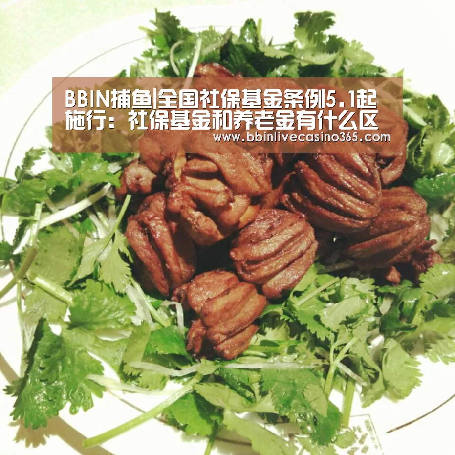 BBIN捕鱼|全国社保基金条例5.1起施行:社保基金和养老金有什么区别?(图1) BBIN捕鱼
