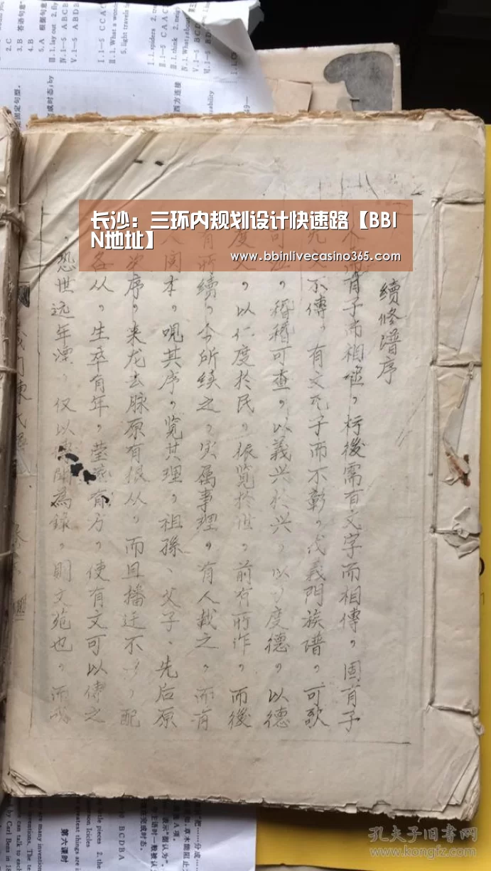 长沙:三环内规划设计快速路【BBIN地址】(图1) BBIN地址